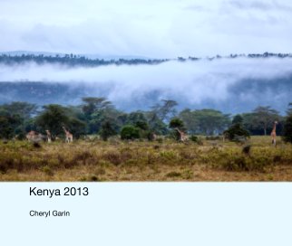 Kenya 2013 book cover
