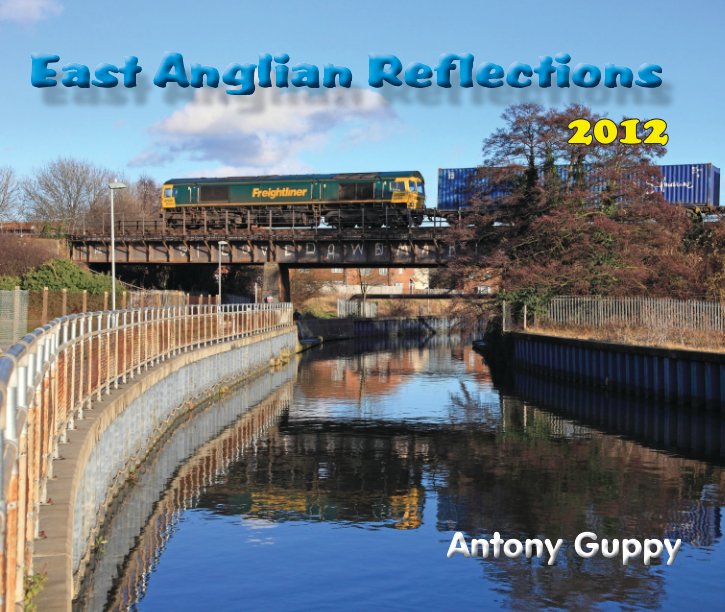 View East Anglian Reflections 2012 by Antony Guppy