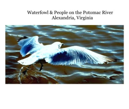 Waterfowl & People on the Potomac River Alexandria, Virginia book cover
