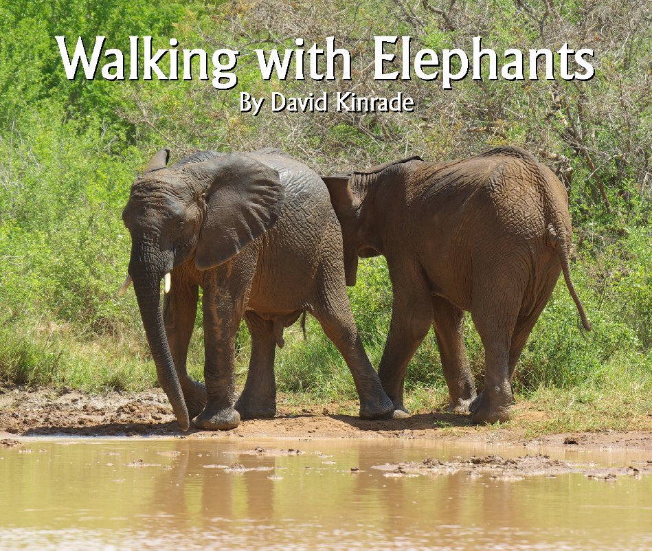 Ver Walking with Elephants por David Kinrade