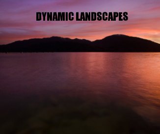 DYNAMIC LANDSCAPES book cover