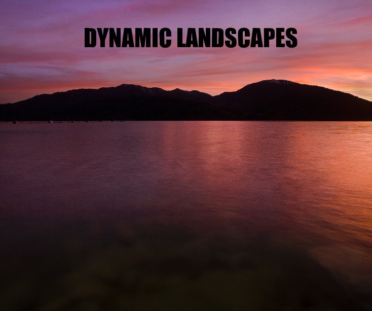 View DYNAMIC LANDSCAPES by Brian Rueb