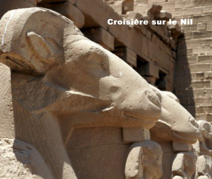 Croisière sur le Nil book cover