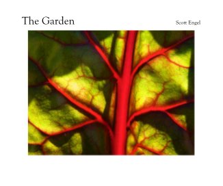 The Garden Scott Engel book cover