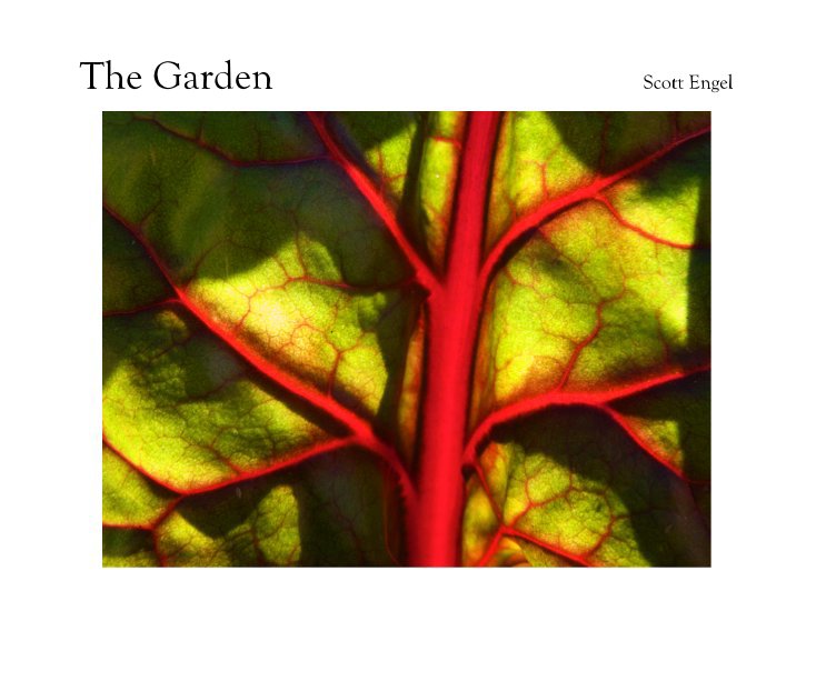 View The Garden Scott Engel by ScottEngel