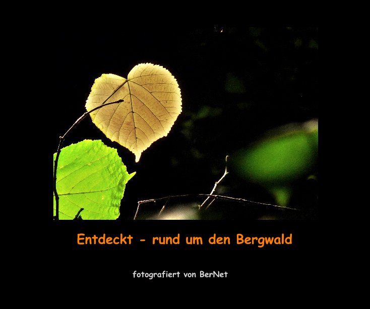 Ver Entdeckt - rund um den Bergwald por Annette Neufang und Bernd Lind