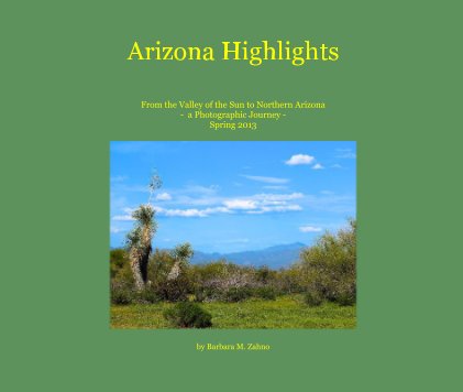 Arizona Highlights book cover