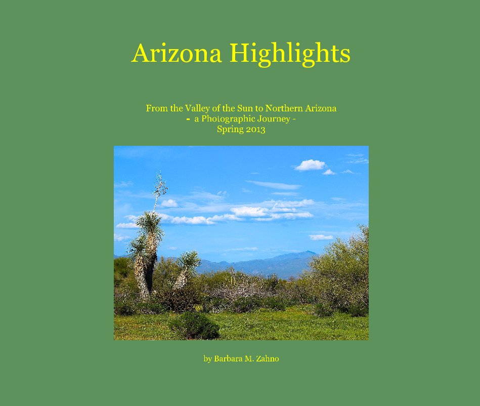 View Arizona Highlights by Barbara M. Zahno