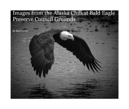 Images from the Alaska Chilkat Bald Eagle Preserve Council Grounds book cover