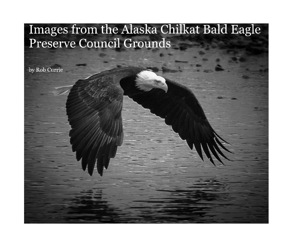 Visualizza Images from the Alaska Chilkat Bald Eagle Preserve Council Grounds di Rob Currie