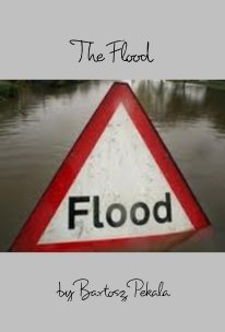 The Flood book cover