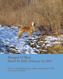 Morgon O'Shea
March 30, 2002- February 16, 2013 book cover