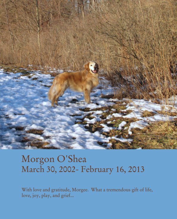 Ver Morgon O'Shea
March 30, 2002- February 16, 2013 por With love and gratitude, Morgee.  What a tremendous gift of life, love, joy, play, and grief...