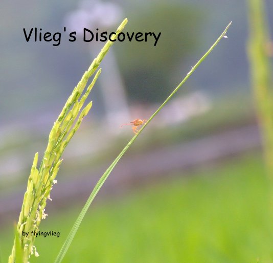 Ver Vlieg's Discovery por flyingvlieg