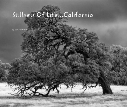 Stillness Of Life California book cover