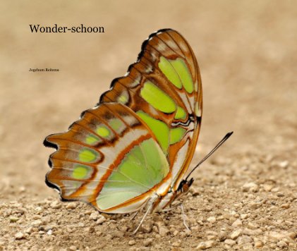 Wonder-schoon book cover