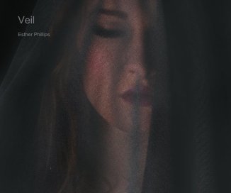 Veil book cover