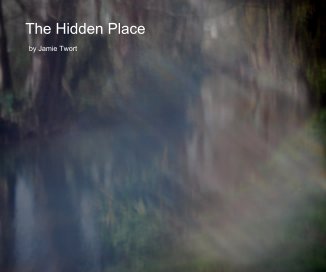 The Hidden Place book cover