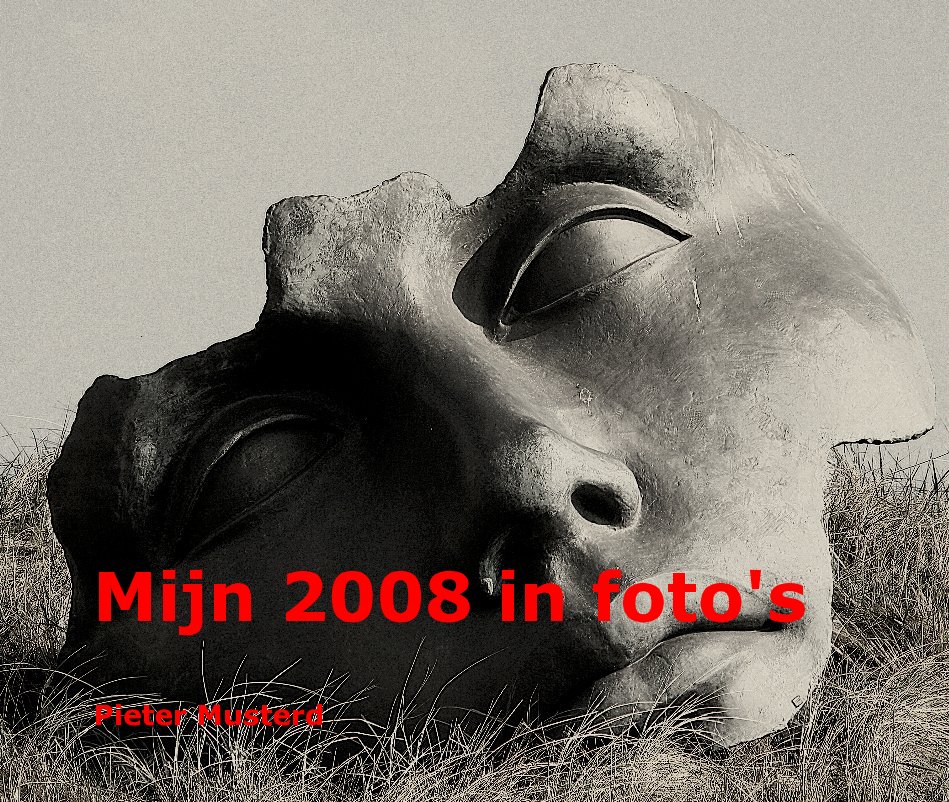 Visualizza Mijn 2008 in foto's di Pieter Musterd