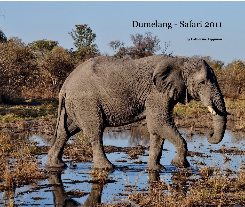 Dumelang - Safari 2011 nach Catherine Lippman anzeigen