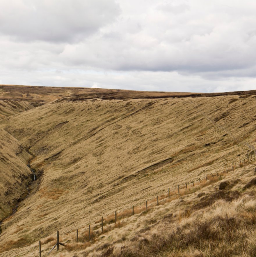 Conservation in the landscape 2 nach George Simms anzeigen