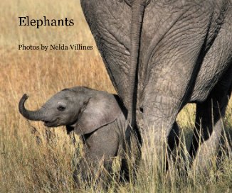 Elephants book cover