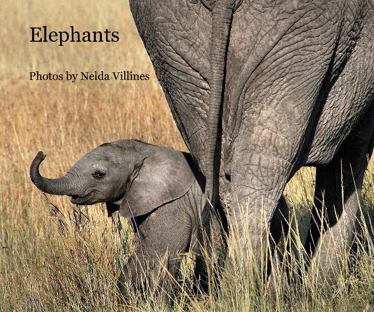 Visualizza Elephants di Nelda Villines