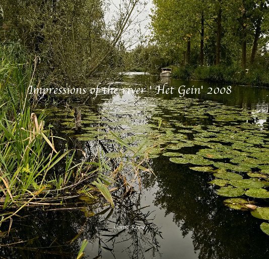 View Impressions of the river 'Het Gein' 2008 CornÃ© Reuse by Corné Reuse