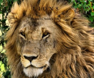 Lions book cover