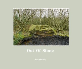 Out Of Stone book cover