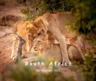 Africa 2013 book cover