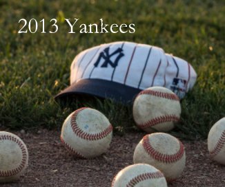 2013 Single A Yankees book cover