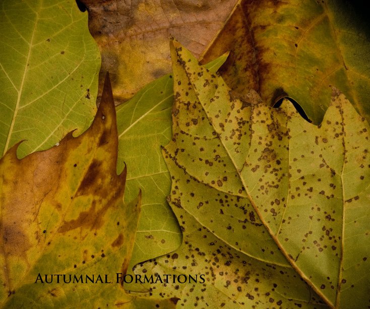 Ver Autumnal Formations por Conner James Quinto