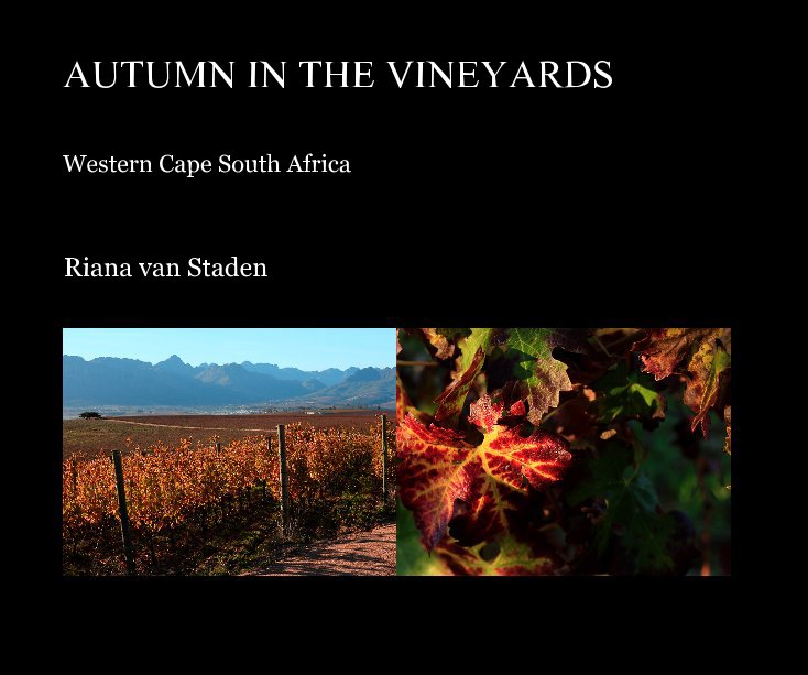 View Autumn in the Vineyards by Riana van Staden