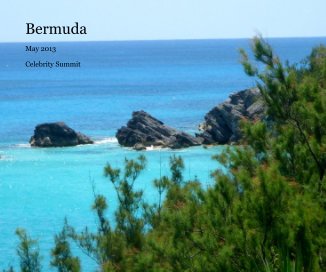 Bermuda book cover