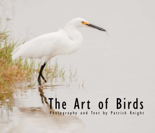 The Art of Birds book cover