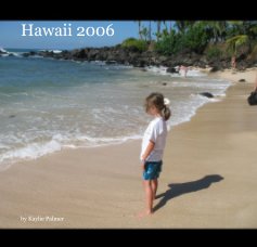 Hawaii 2006 book cover