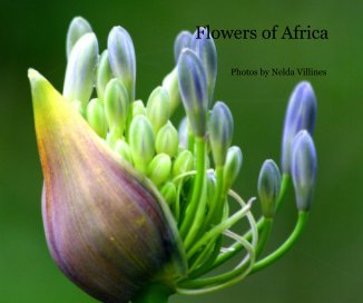 Flowers of Africa book cover