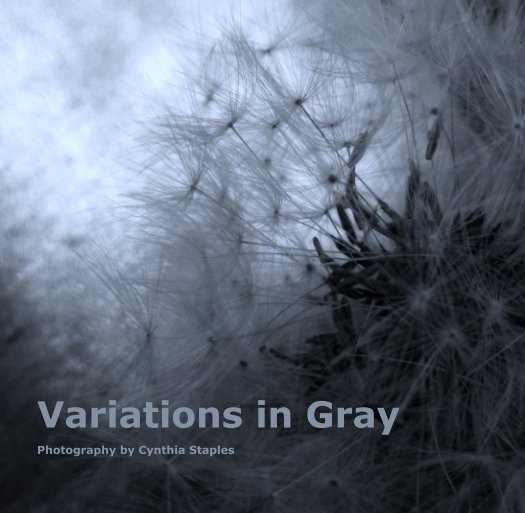 View Variations in Gray by Cynthia Staples