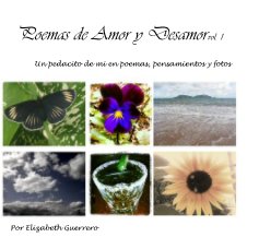 Poemas de Amor y Desamorvol. 1 book cover