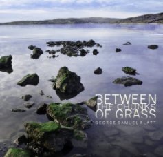 Between the Chunks of Grass book cover