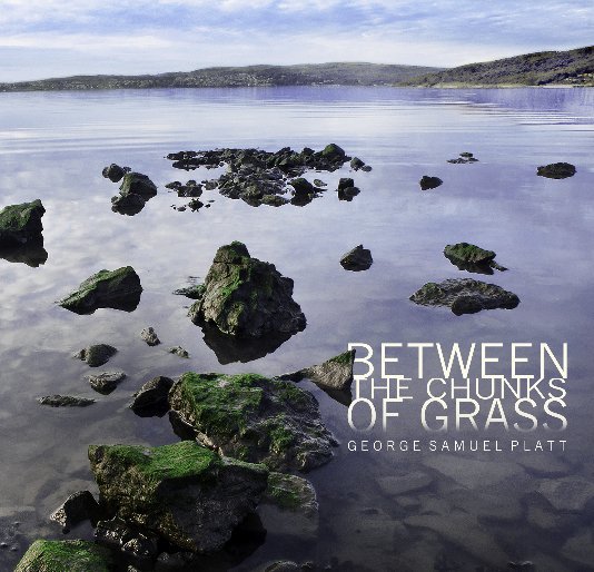 Ver Between the Chunks of Grass por George Samuel Platt