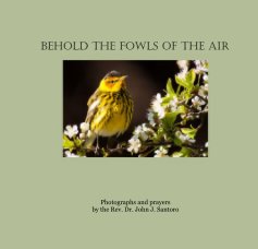 Behold the Fowls of the Air book cover