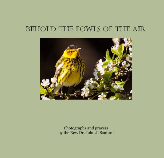 Ver Behold the Fowls of the Air por Norm and Pat Hellmers