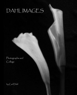 DAHL IMAGES book cover