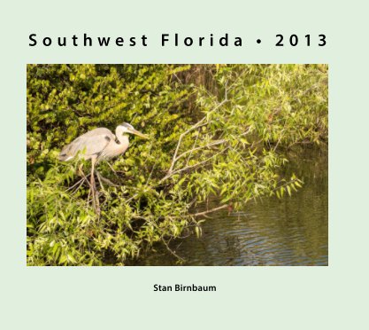 Florida 2013 book cover