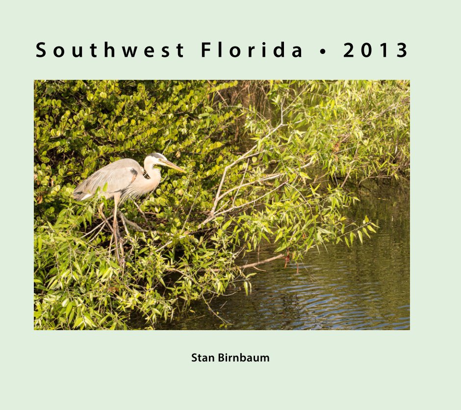 Visualizza Florida 2013 di Stan Birnbaum
