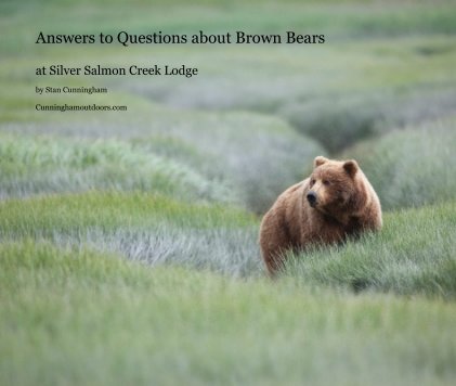 answers to questions about brown bears book cover