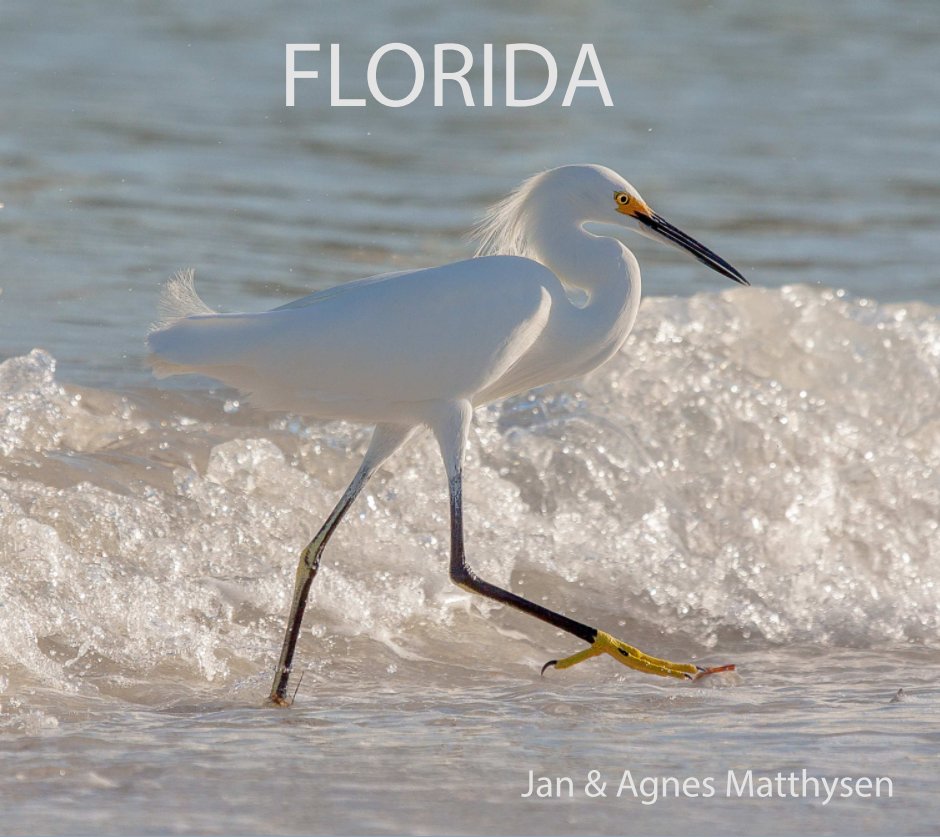 View Florida by Agnes and Jan Matthysen