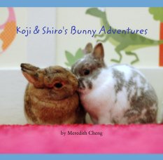 Koji & Shiro's Bunny Adventures book cover